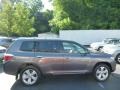 2010 Magnetic Gray Metallic Toyota Highlander Limited 4WD  photo #10