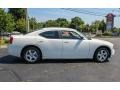 Stone White - Charger SE Photo No. 7