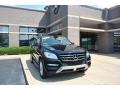 Black - ML 350 4Matic Photo No. 1