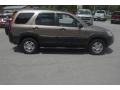 2004 Mojave Mist Metallic Honda CR-V EX 4WD  photo #2