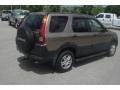 2004 Mojave Mist Metallic Honda CR-V EX 4WD  photo #3