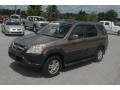 2004 Mojave Mist Metallic Honda CR-V EX 4WD  photo #30