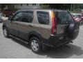 2004 Mojave Mist Metallic Honda CR-V EX 4WD  photo #32