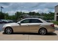 2010 Pearl Beige Metallic Mercedes-Benz E 350 Sedan  photo #21