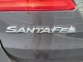 Night Sky Pearl - Santa Fe GLS Photo No. 13
