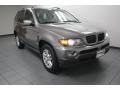 Sterling Grey Metallic 2006 BMW X5 3.0i