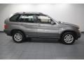 Sterling Grey Metallic - X5 3.0i Photo No. 7