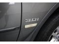 Sterling Grey Metallic - X5 3.0i Photo No. 39