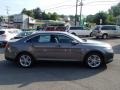 Sterling Gray - Taurus SEL Photo No. 4