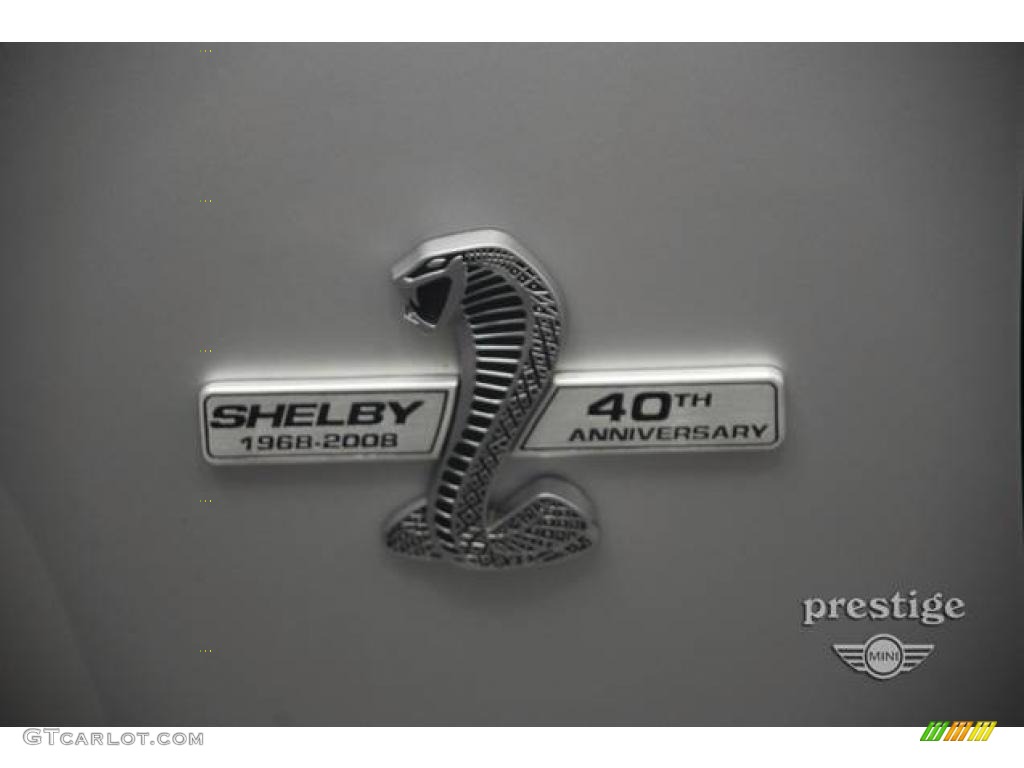 2008 Mustang Shelby GT500KR Coupe - Brilliant Silver Metallic / Black photo #15