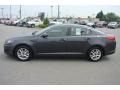 Platinum Graphite - Optima LX Photo No. 3