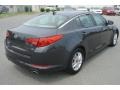 Platinum Graphite - Optima LX Photo No. 5