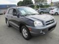 2005 Moonlit Blue Hyundai Santa Fe GLS 4WD  photo #4