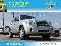 2009 Brilliant Silver Metallic Ford Escape XLS  photo #1