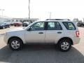 2009 Brilliant Silver Metallic Ford Escape XLS  photo #5