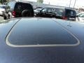 Blackberry Pearl Coat - 200 Limited Sedan Photo No. 17