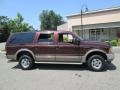 2001 Chestnut Metallic Ford Excursion Limited 4x4  photo #9