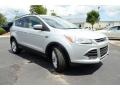 2014 Ingot Silver Ford Escape SE 1.6L EcoBoost  photo #3