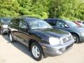 Black Obsidian 2004 Hyundai Santa Fe GLS 4WD