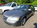 Willow Gray - Sonata GLS Photo No. 5