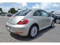 Moonrock Silver Metallic - Beetle 2.5L Photo No. 2