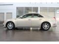 Gold Mist - CTS Sedan Photo No. 6