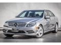 2011 Steel Grey Metallic Mercedes-Benz C 300 Luxury  photo #13