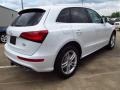 Glacier White Metallic - Q5 3.0 TFSI quattro Photo No. 2