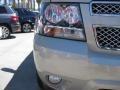 2010 Gold Mist Metallic Chevrolet Tahoe LS 4x4  photo #24