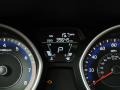 Midnight Black - Elantra GLS Photo No. 12