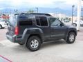 Night Armor Pearl - Xterra Off Road 4x4 Photo No. 11