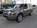 Sterling Gray - Expedition Limited Photo No. 2