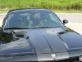 Brilliant Black Crystal Pearl - Challenger SRT8 Photo No. 12