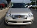 Satin Cashmere Metallic - GX 460 Photo No. 3
