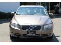 2010 Oyster Grey Metallic Volvo S80 T6 AWD  photo #2