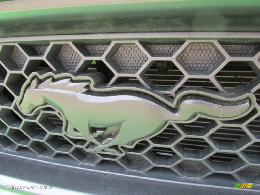 2013 Mustang GT Premium Coupe - Gotta Have It Green / Charcoal Black photo #5