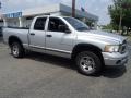 2002 Bright Silver Metallic Dodge Ram 1500 ST Quad Cab 4x4  photo #7