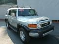 Titanium Metallic - FJ Cruiser 4WD Photo No. 1