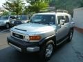 Titanium Metallic - FJ Cruiser 4WD Photo No. 3