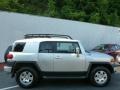 Titanium Metallic - FJ Cruiser 4WD Photo No. 10