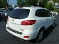 Arctic White - Santa Fe SE 4WD Photo No. 11