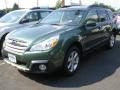 2013 Cypress Green Pearl Subaru Outback 2.5i Limited  photo #1