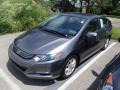 Polished Metal Metallic - Insight Hybrid EX Photo No. 3