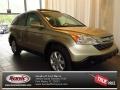 2008 Borrego Beige Metallic Honda CR-V EX-L  photo #1