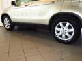 Borrego Beige Metallic - CR-V EX-L Photo No. 9