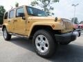 Dune - Wrangler Unlimited Sahara 4x4 Photo No. 4