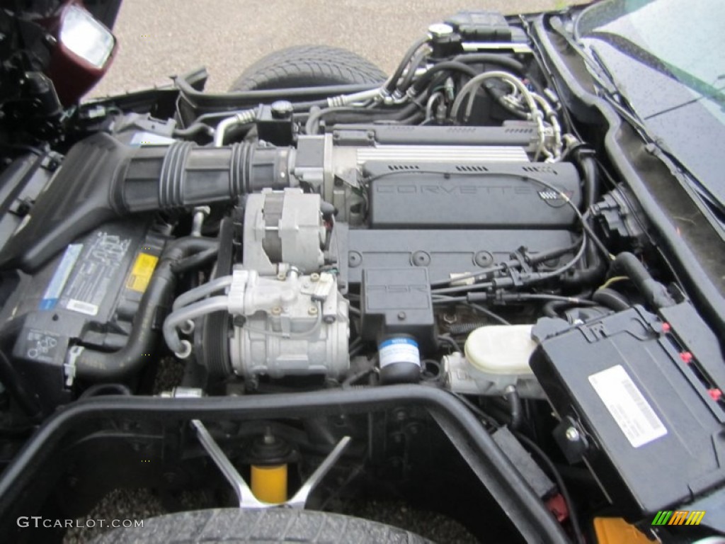 1993 Chevrolet Corvette 40th Anniversary Coupe Engine Photos