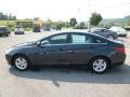 Pacific Blue Pearl - Sonata GLS Photo No. 4