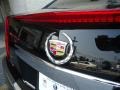 Black Raven - CTS 3.0 Sedan Photo No. 28