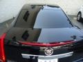 Black Raven - CTS 3.0 Sedan Photo No. 30